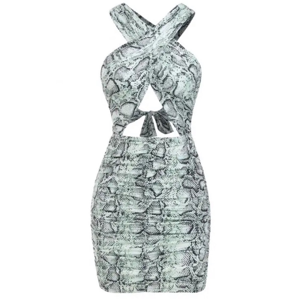 Ruched Snake Skin Dress